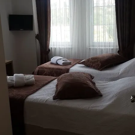 Hotel Le Mansion *